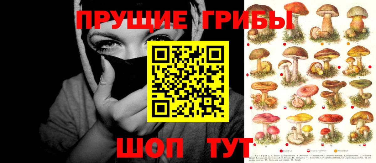 Кудымкар  как найти наркотики  Вход с VPN  Псилоцибиновые грибы мухоморы 