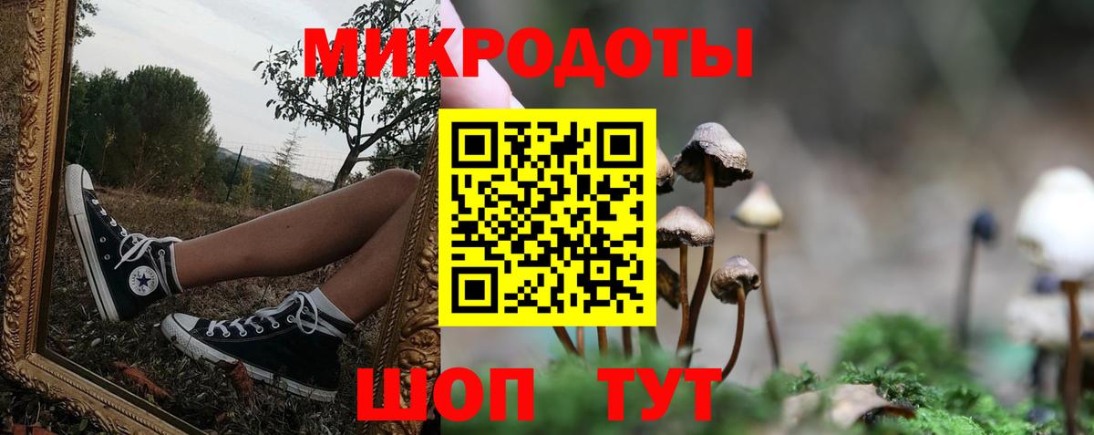 Псилоцибиновые грибы ЛСД Кудымкар